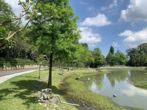 碇內尖景觀砲台步道(暖暖-四腳亭)