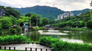 台灣竟然藏有世界上蘊涵最高能量的地方，南港公園，東新埤賞鳥步道，順遊松山療養所日式宿舍群