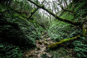 拔刀爾山、美鹿山