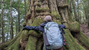 【中級山背包】大板根爺爺與我的 Jack Wolfskin