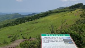 桃源谷步道(大溪線)