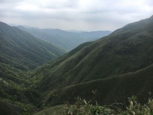 聖母山莊步道