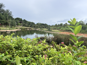 大湳森林公園散步很清幽，要記得噴防蚊液，我跟老公兩人被叮了幾個包