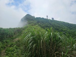 SBT雪山山脈大縱走之鷹子頂山、鷹子嶺山