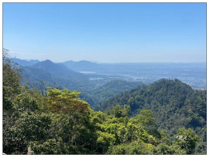 草嶺山、白石山、頭寮山  六連峰 O型路線