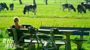 《農村的遠見》05│在荷蘭都市中心養牛划船！國土規劃「綠心」