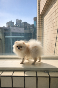 山瘋癲猴的頭像