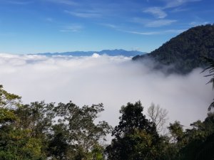 1081103水社大山