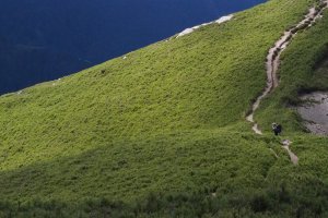 【山系野遊】