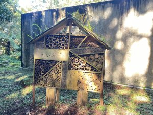 東眼山 自導式步道 三角點