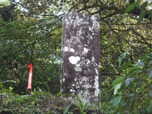 菁桐古道汐止段(東山路)-作埤內古道-磐石嶺-東山路P字走