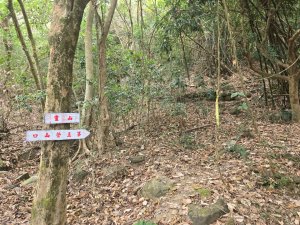 2026-02-01 靈山古道