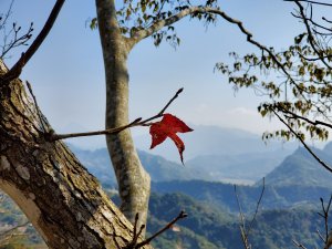 大坑4號－黒山北峰黒山石苓湖山頭嵙山