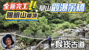 開箱猴崁古道，陽明山秘境，全新完工草山觀瀑吊橋，站在單索吊橋上，感受溪水的脈動，續訪百年楓香樹、滾水頭