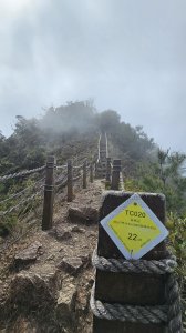 【美美兔走山趣】谷關抓雄-老六白毛