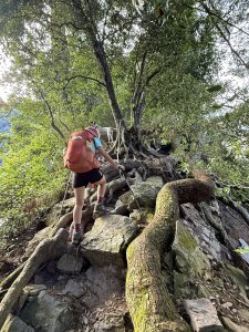 唐麻丹+蝴蝶谷O繞