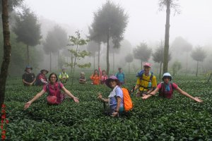 頂湖環湖步道、霹靂山、茶之道、石棹資訊站（第一天）