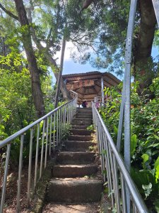 田中森林登山步道＋茶香步道＋赤水崎公園步道20250817