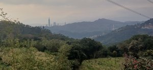 樟樹步道.台北文山