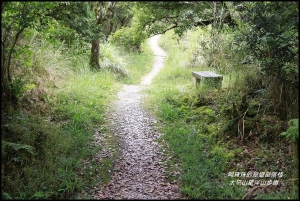 宜蘭大同。太平山望洋山步道