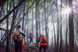 【活動】2019谷關七雄登山趣 應山友響應延長至4月底