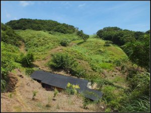 基隆市金針谷農家-深澳山O型