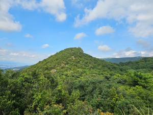 夢湖、新山、黑猩猩