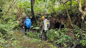 【雙溪后番子坑 O 行】揭開武山煤礦的面紗，串起焦炭窯、工寮與礦務事務所的產業脈絡