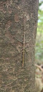 淡蘭古道北路1+2段連走