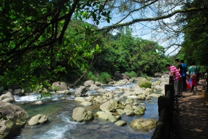 蓬萊溪護魚步道