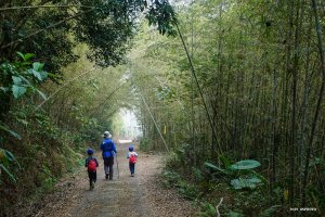 【嘉義】太平登紅楠坑山再走觀音石山、阿拔泉山