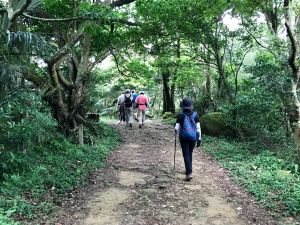 飛鳳山觀日坪連走中坑山