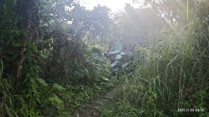 2025-1130 新店三(二)潭縱走