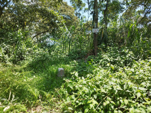 [台南東山][四]一尖山、二尖山、三尖山、馬山嶺