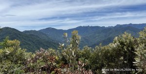 就是要去避暑——觀霧國家森林遊樂區(Day 3)觀霧星空＋榛山步道看雪山聖稜線