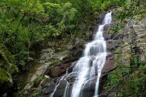 WL 愛旅行【青山瀑布】