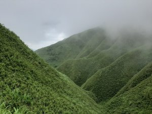 抹茶山