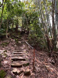 2025/3/16南觀音山