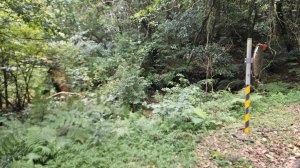 20251128玉瀧谷(竹子湖南)-東昇路碉堡-後山-湖田後山梯田(騎車爬山)