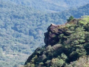 基隆市界寮縱走之七分寮山+友蚋山+印地安頭像+七汐農路O型