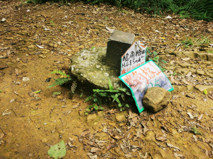 樟湖山-獅球山-三玄宮山-鵝角格東峰-鵝角格山