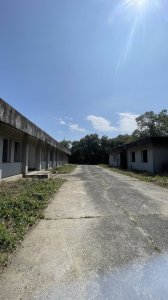 小崗山健行步道