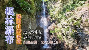「楓林瀑布」,鹿角坑古道、鹿角坑溪,一條需要申請的陽明山秘境
