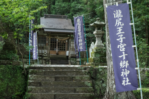 【熊野古道🇯🇵-中邊路】#01潼尻-近露|世界文化遺產朝聖之路