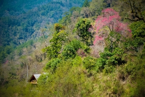 那一年的大霸群峰