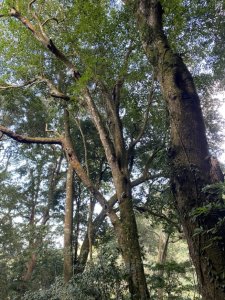 12石壁山