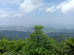 瑞芳區八分寮頂砲台+八分寮頂山+八分寮古道O型