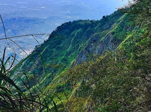 雲嘉大尖山路線四：10-5步道上4-2步道下