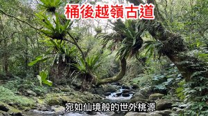 桶後越嶺古道 宛如仙境般的世外桃源 植物生態豐富 礁溪端來回