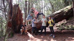 閂山鈴鳴山登山健行趣(百岳80號＆60號)(第218篇旅記分享)